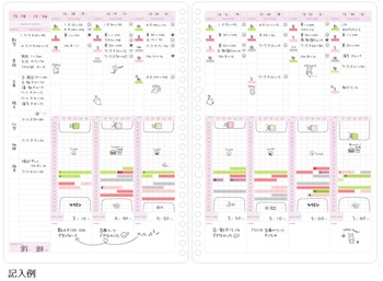 コクヨ-キャンパス-ルーズリーフ-スタディプランナー-ウィークリー罫みえる化タイプ・ガーリー--B5-30枚-ノ-Y836GWN | 2 | ブング・ステーション