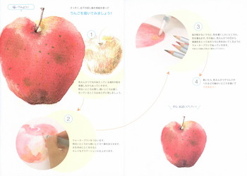 ステッドラー-アクェレル水彩色鉛筆＜ウインターパッケージ＞-24色セット--karat-aquarell-winter-package--125M24W22 | 7 | ブング・ステーション