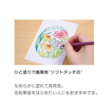 トンボ鉛筆-色鉛筆-木物語-12色セット-CQ-KS12C | 2 | ブング・ステーション