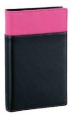 レイメイ藤井-リフィルファイル-聖書サイズ（リング15mm）-WBF100P-ピンク | 1 | ブング・ステーション